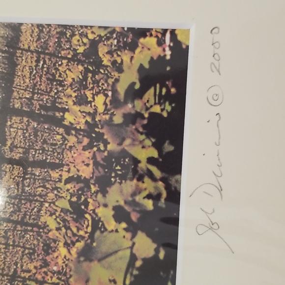 THE VINTAGE COLLECTION JOHN DIMAIO PHOTOS 1998 & 2000 PRINTS IN SEALED WRAPPER - Picture 7 of 8